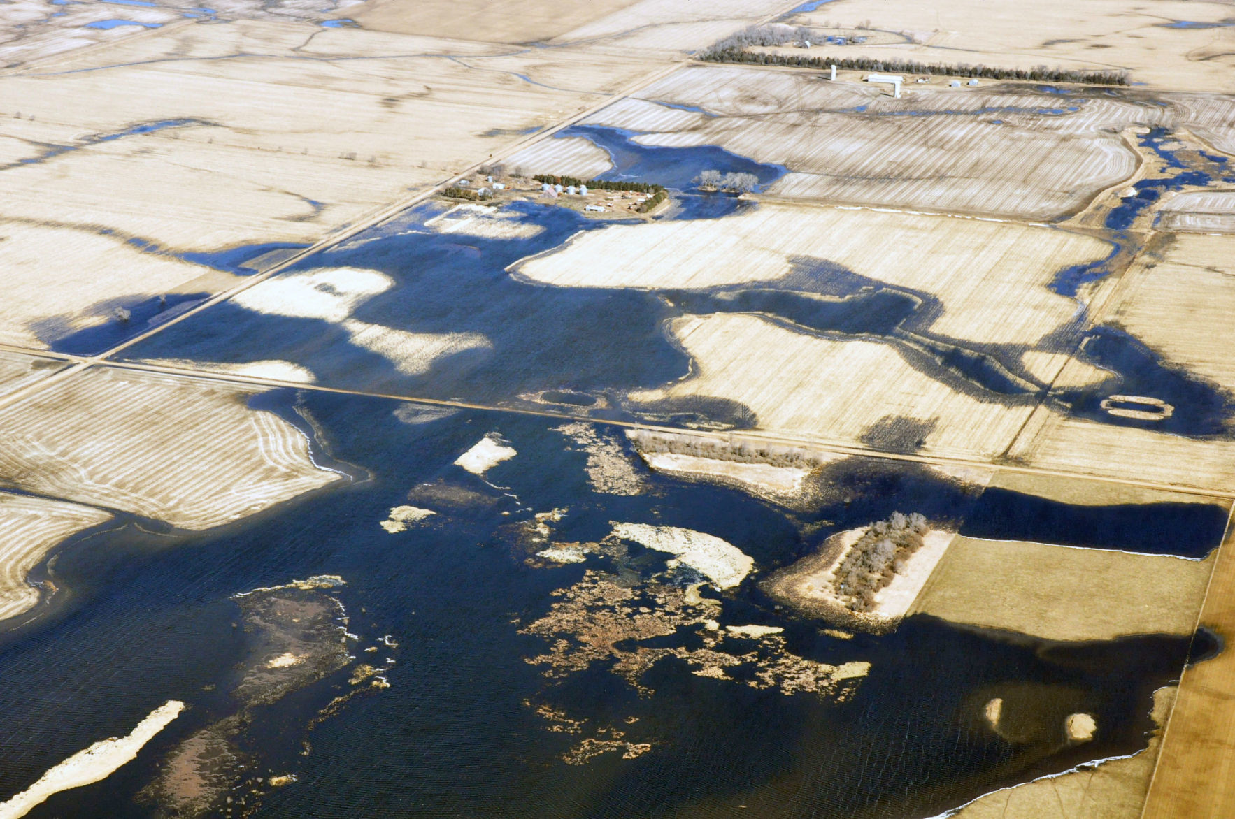 James River flooding, March 30 (10).jpg